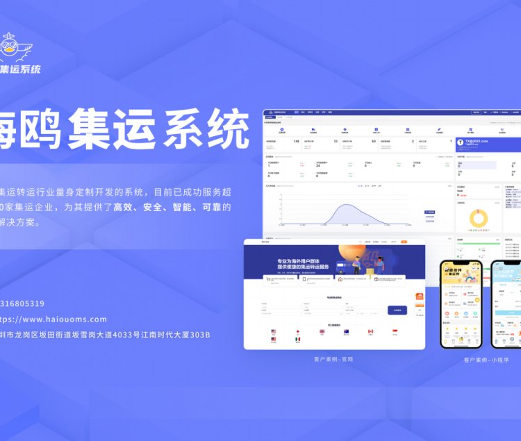 通晓网络 集运转运行业量身定制开发海鸥集运系统 智能可靠